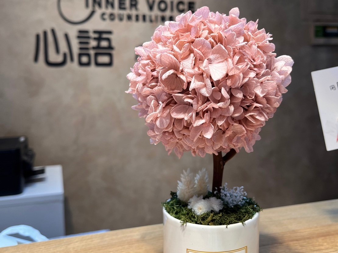 心語心理諮商所處處都有可愛小佈置 和我們一起靜下心來欣賞美麗的小事物吧!