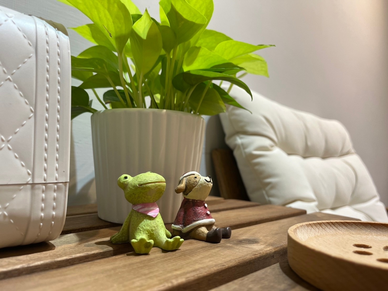 坐下來,感受這裡的美好 微涼的風、香香的精油香氛、柔和的鋼琴音樂、可愛的植物與小公仔們,陪伴你一起,感受這裡的美好